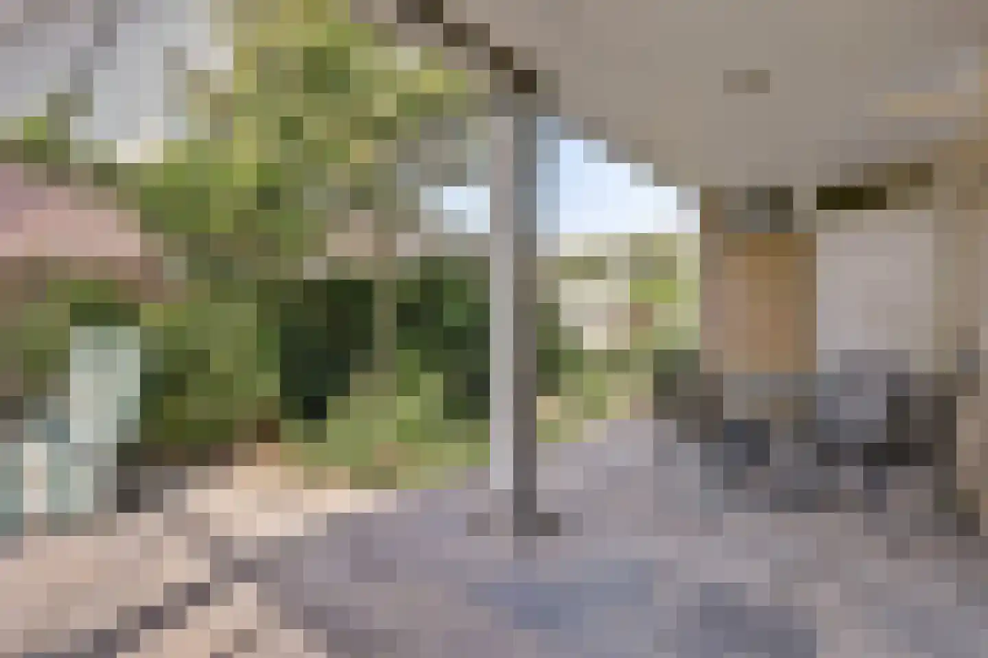 Rozenstraat 1 Putte thumbnail 19