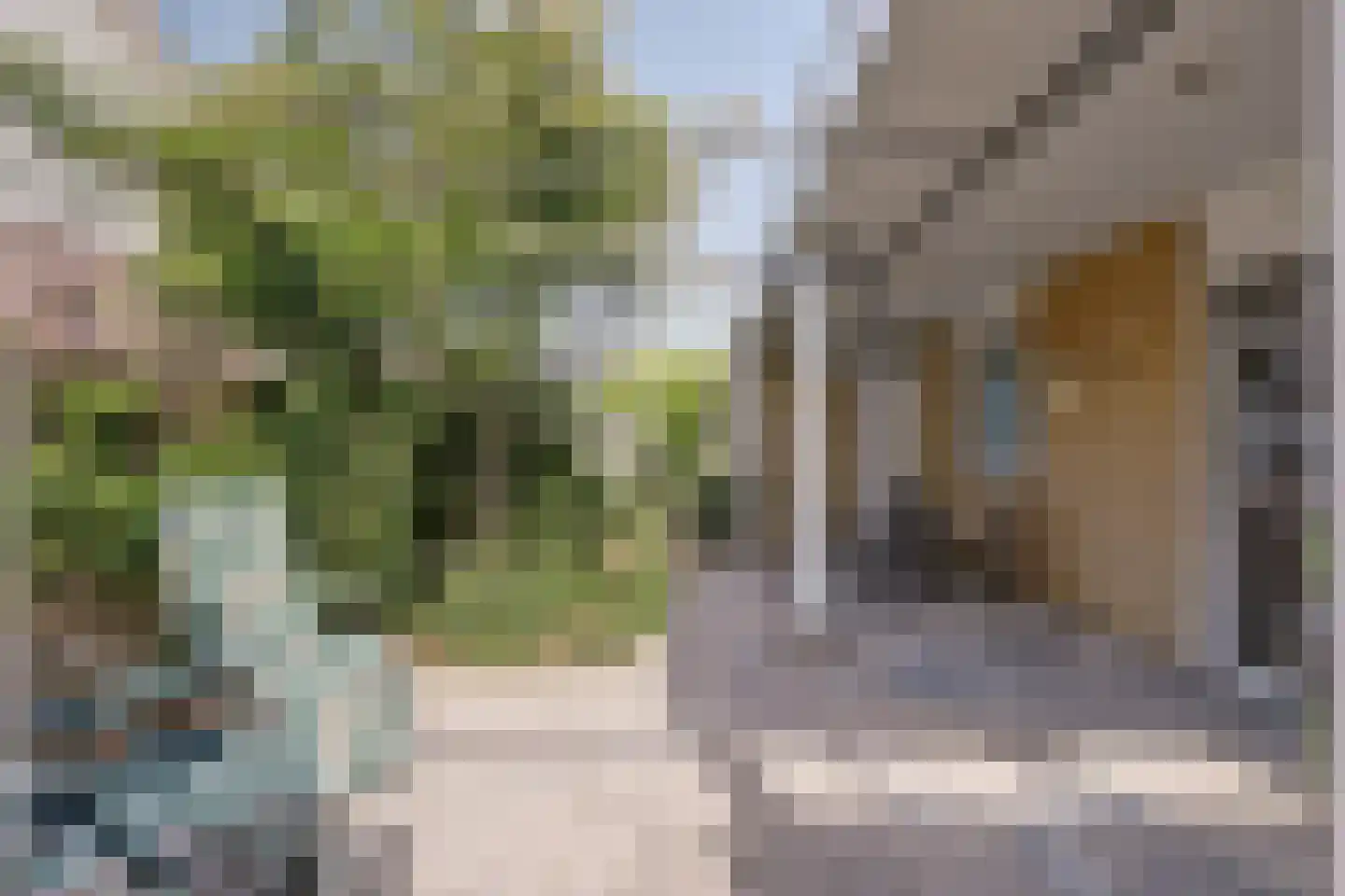 Rozenstraat 1 Putte thumbnail 20