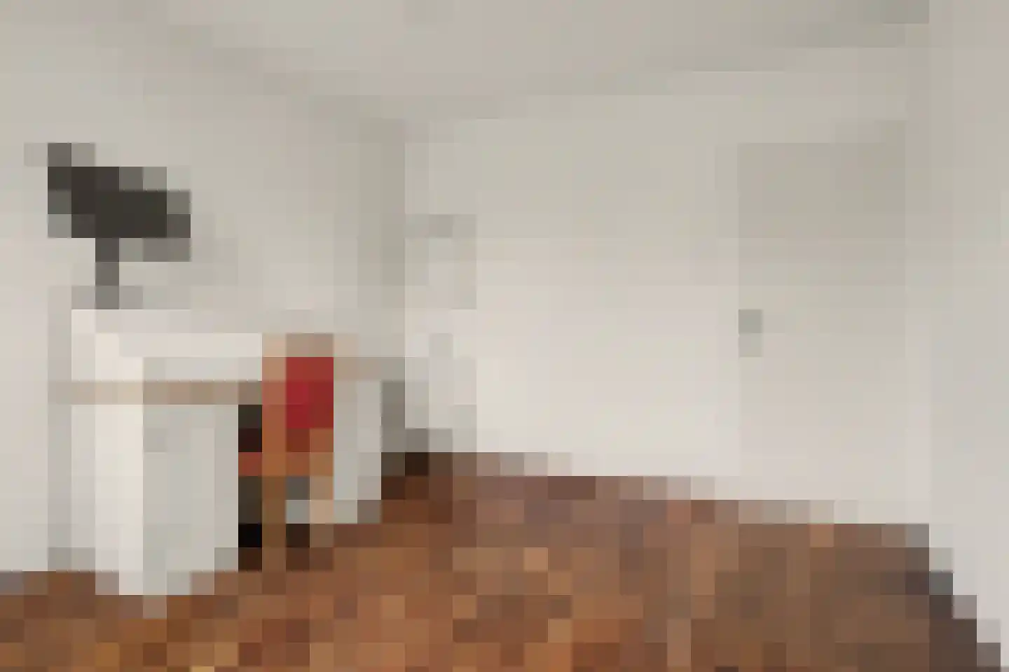 Rozenstraat 1 Putte thumbnail 21