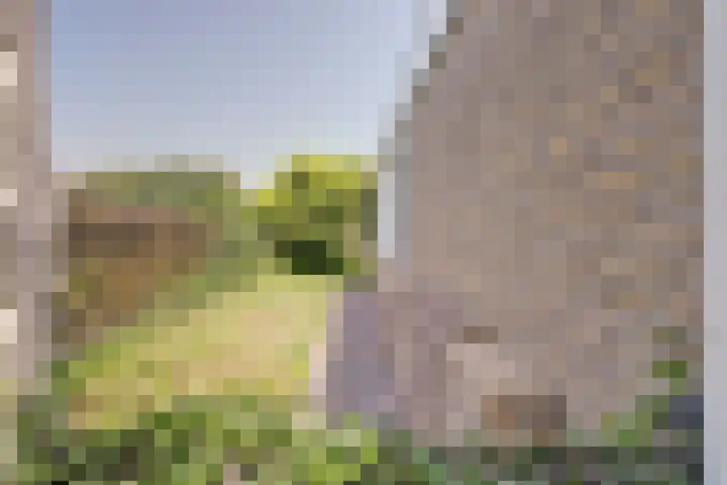 Rozenstraat 1 Putte thumbnail 21