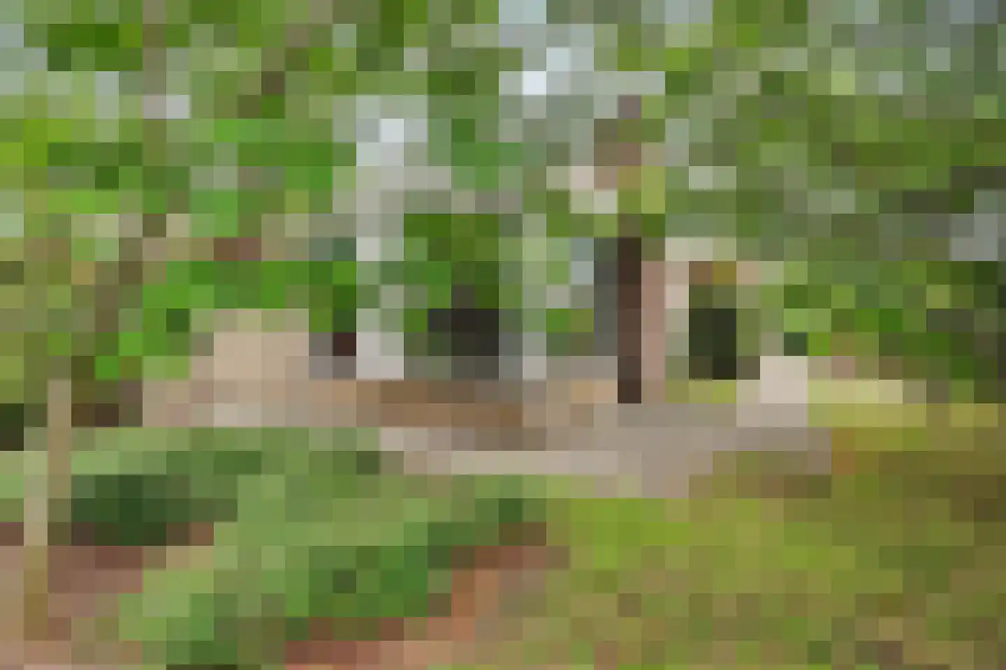 Rozenstraat 1 Putte thumbnail 24
