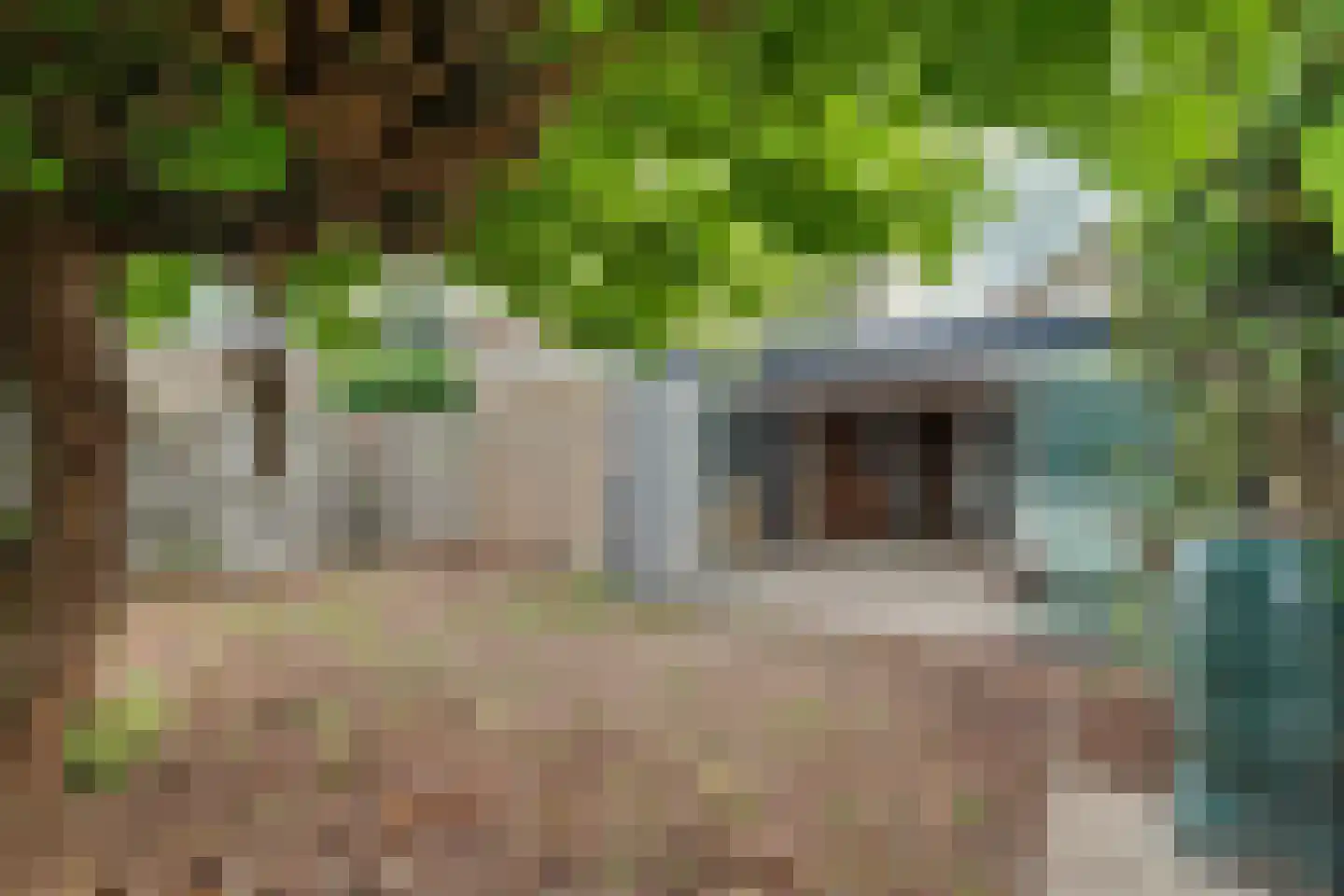 Rozenstraat 1 Putte thumbnail 29