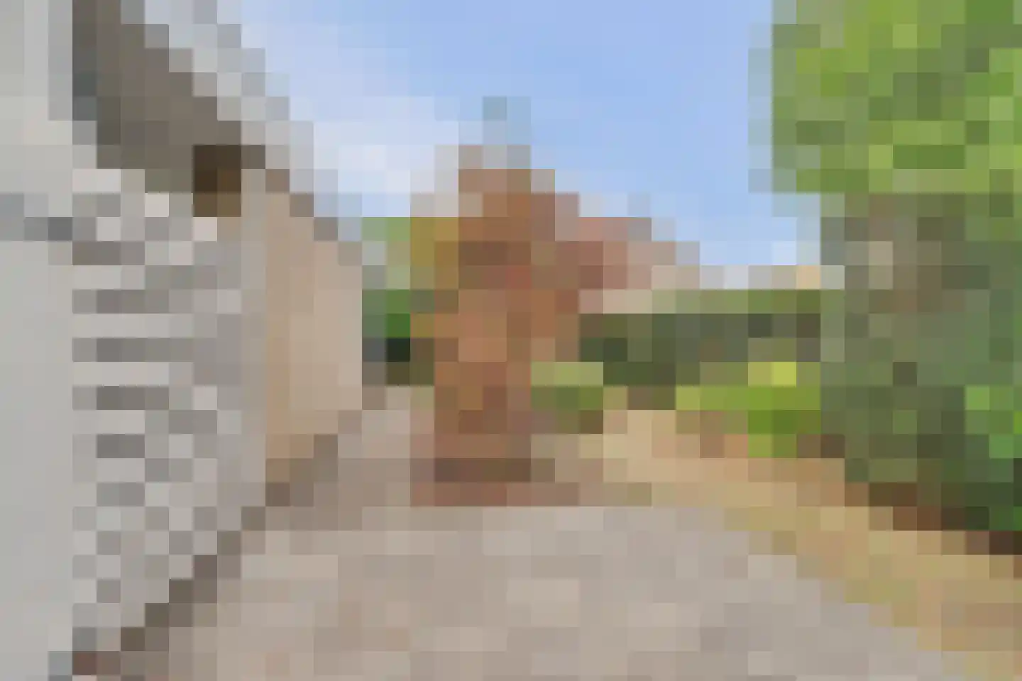 Rozenstraat 1 Putte thumbnail 31