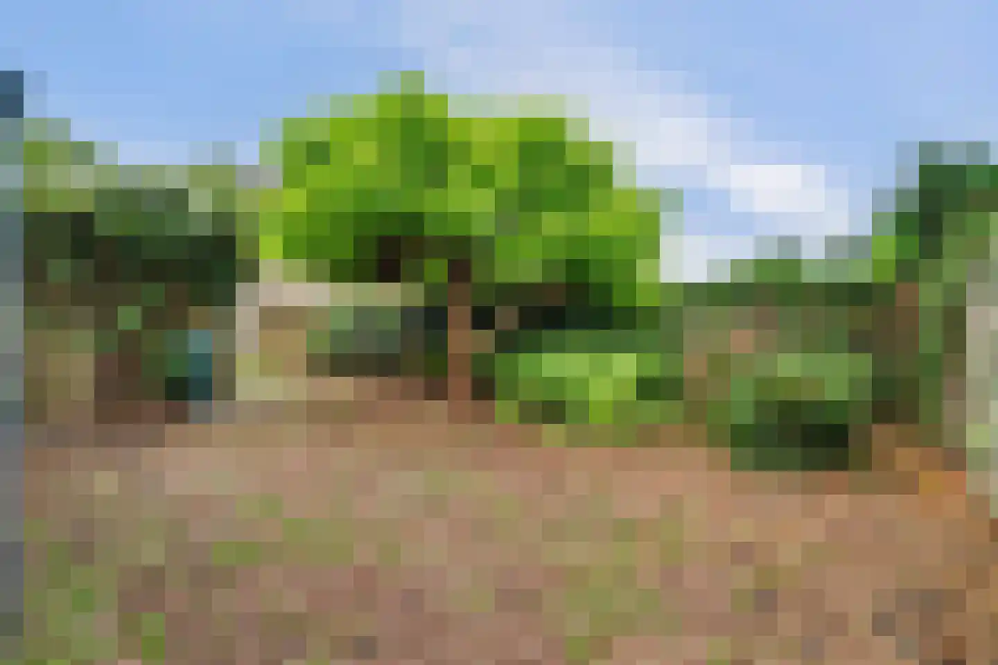 Rozenstraat 1 Putte thumbnail 36