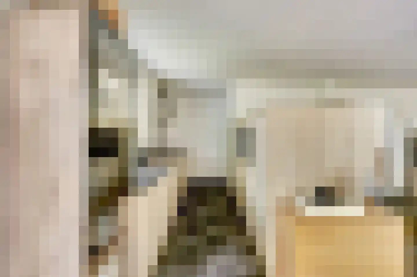 Rozenstraat 1 Putte thumbnail 4