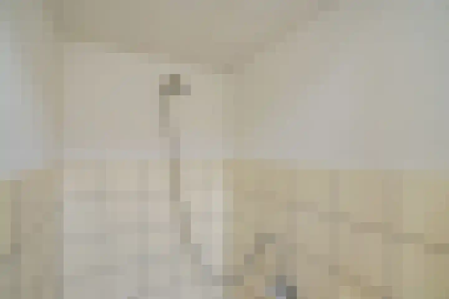 Rozenstraat 1 Rijswijk thumbnail 11