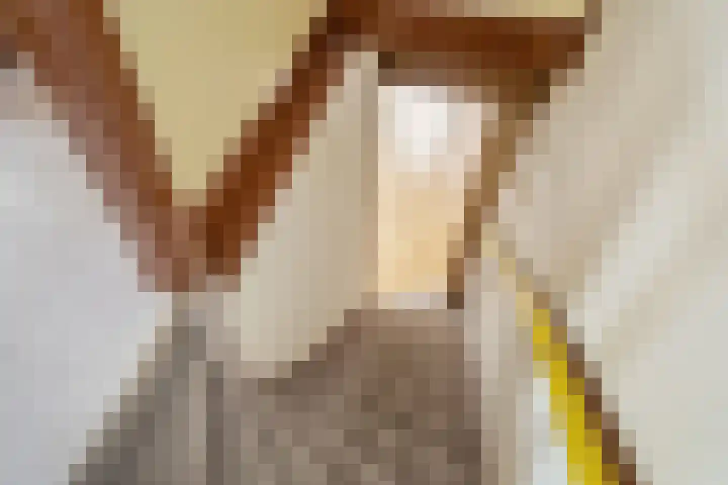 Rozenstraat 1 Rijswijk thumbnail 13
