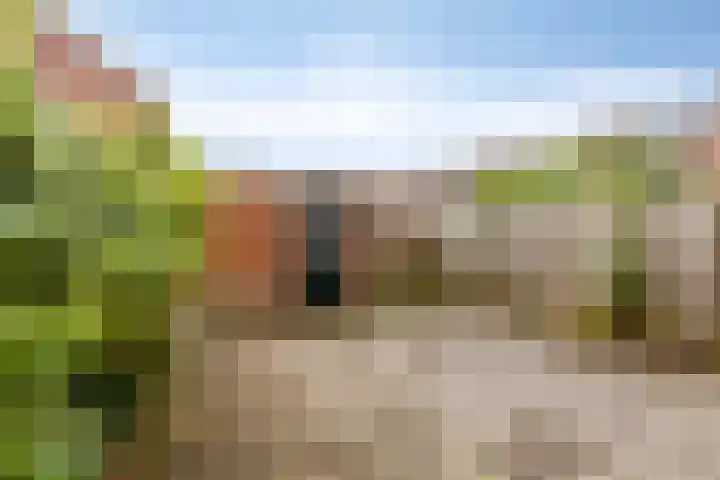 Rozenstraat 10 Giesbeek thumbnail 22