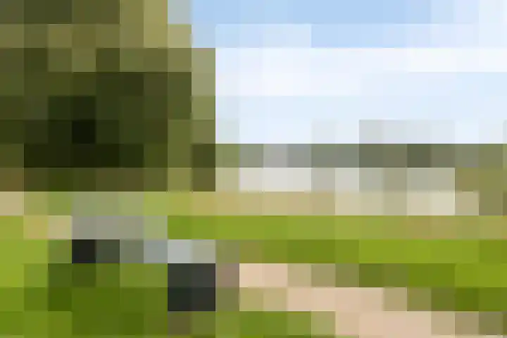Rozenstraat 10 Giesbeek thumbnail 25