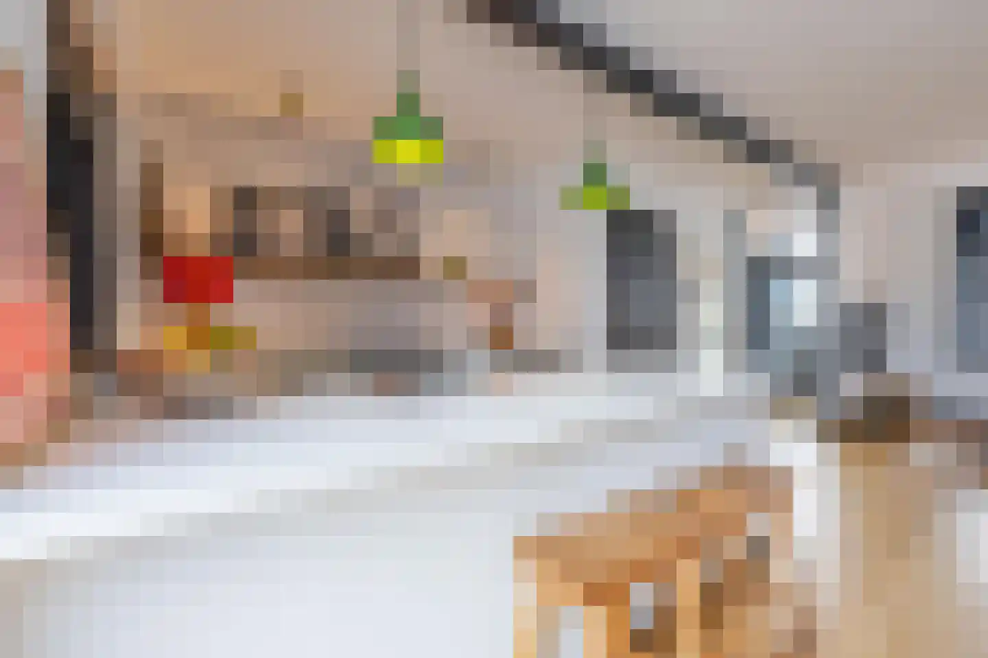 Rozenstraat 10 Tiel thumbnail 27