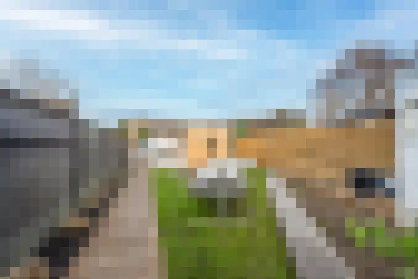 Rozenstraat 10 Tiel thumbnail 32