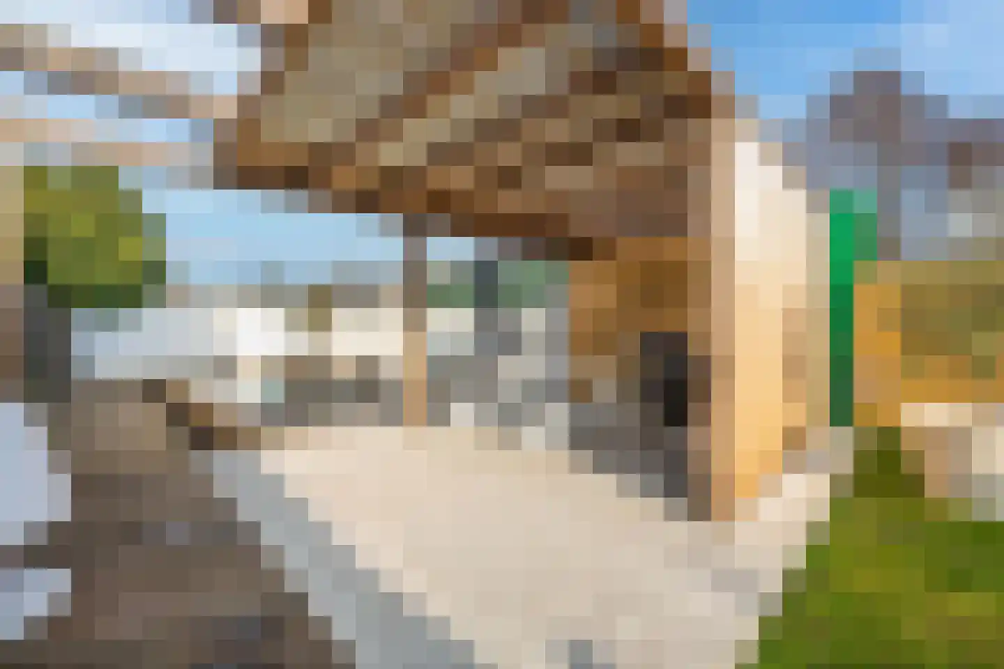 Rozenstraat 10 Tiel thumbnail 34
