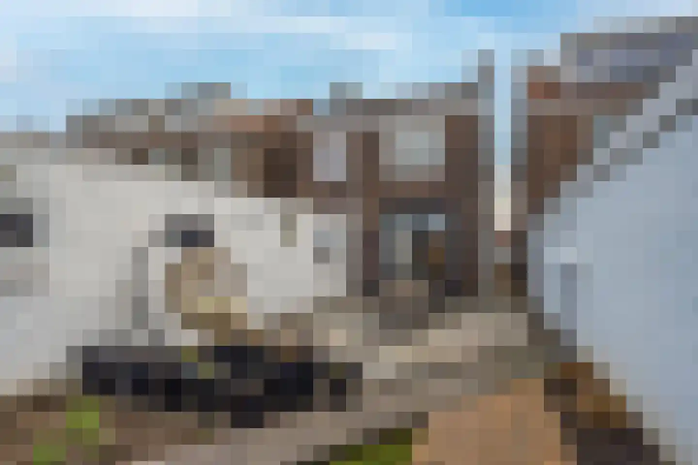 Rozenstraat 10 Tiel thumbnail 45