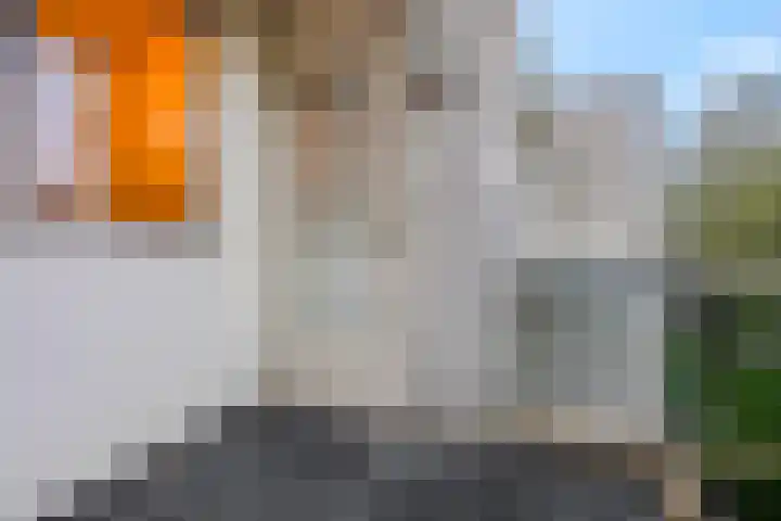 Rozenstraat 101 Barneveld thumbnail 41