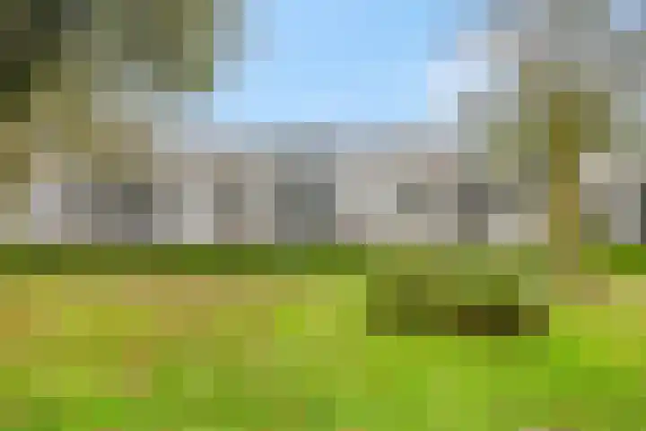 Rozenstraat 101 Barneveld thumbnail 5