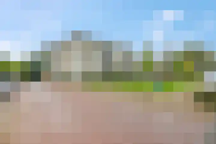 Rozenstraat 101 Barneveld thumbnail 8