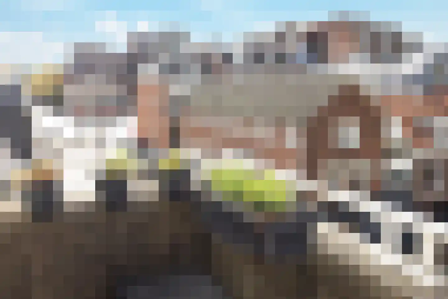 Rozenstraat 101 Haarlem thumbnail 10
