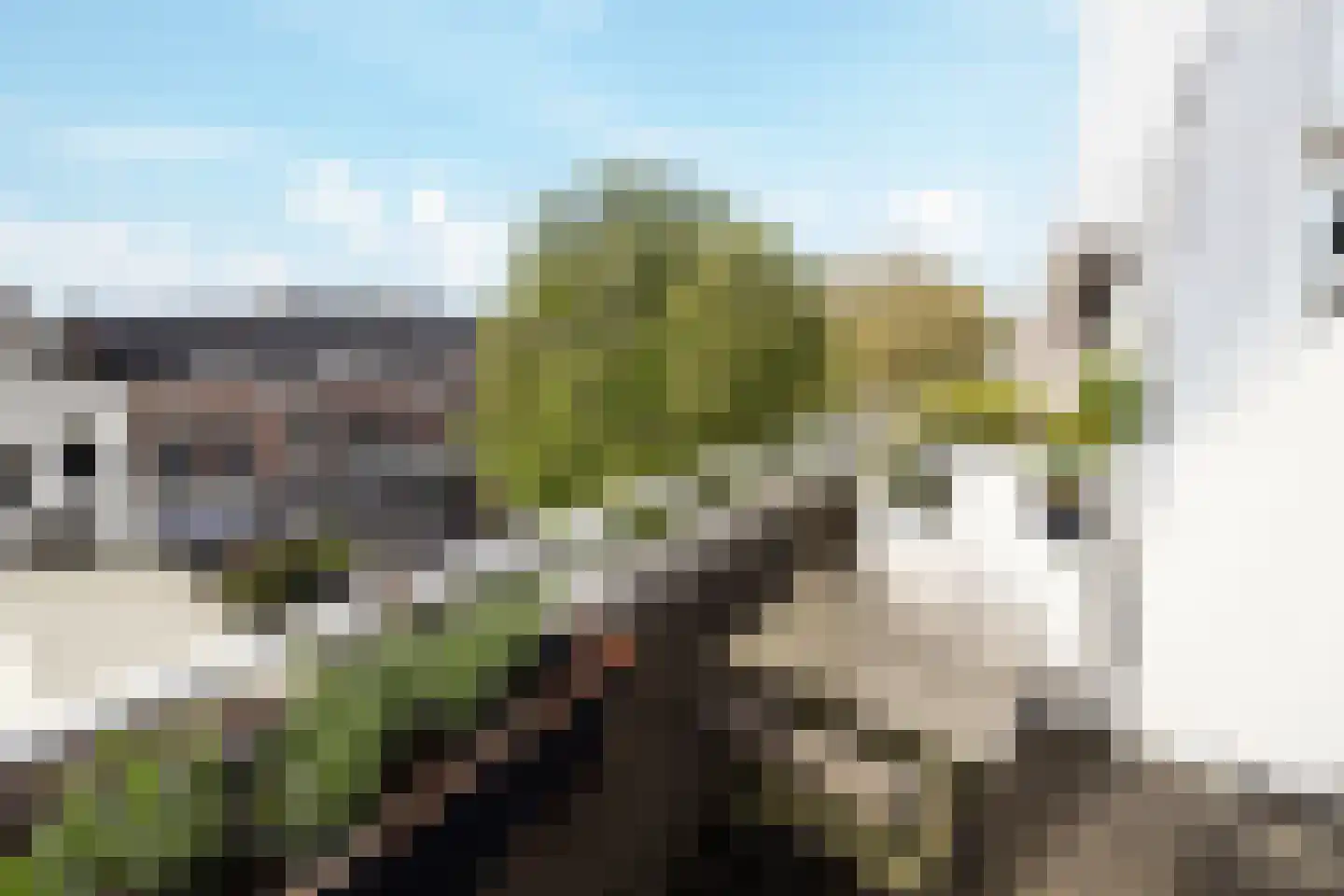 Rozenstraat 101 Haarlem thumbnail 11