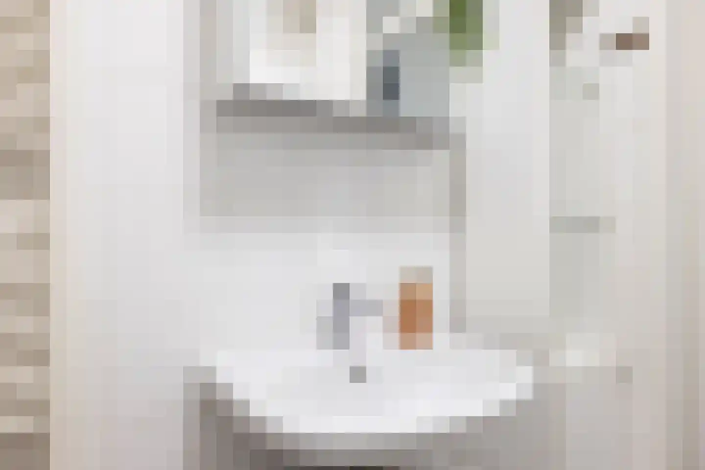 Rozenstraat 101 Haarlem thumbnail 23