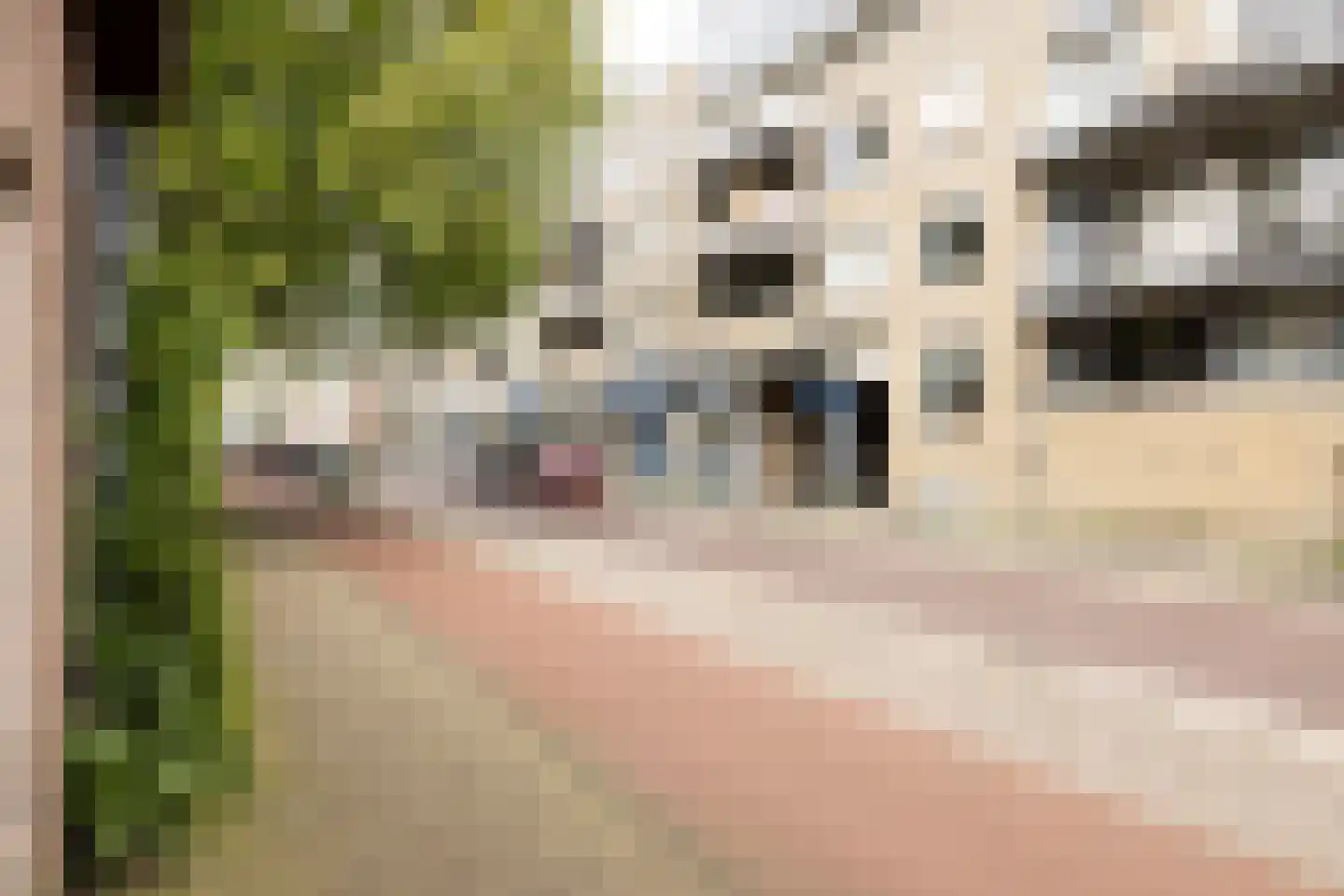 Rozenstraat 101 Haarlem thumbnail 4