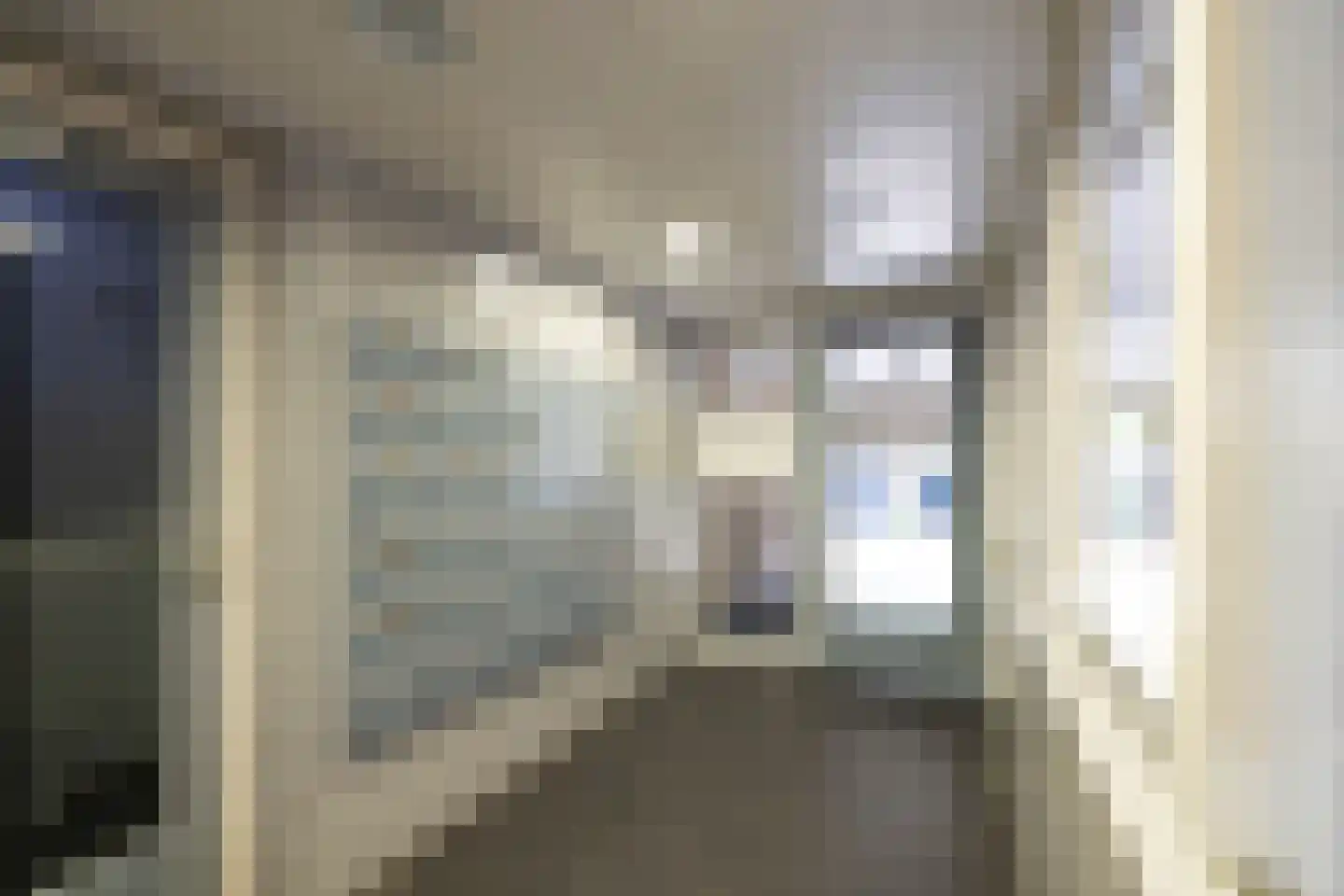 Rozenstraat 101 Haarlem thumbnail 6