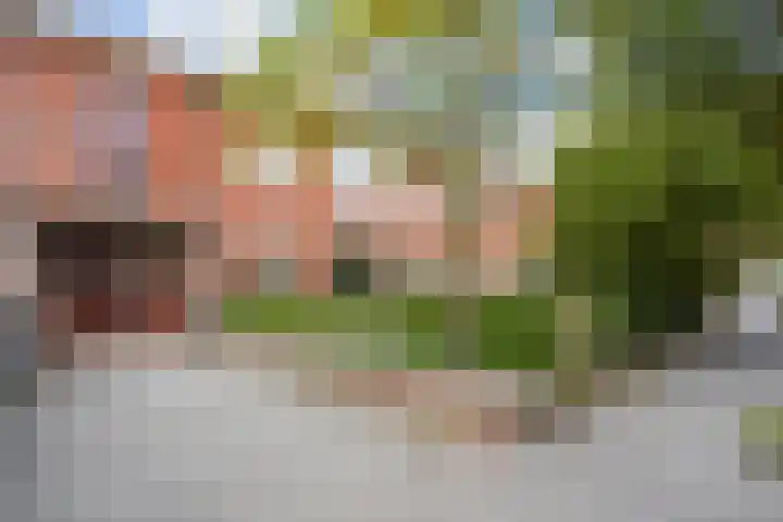 Rozenstraat 102 in Den Haag