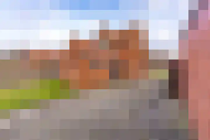 Rozenstraat 11 Musselkanaal thumbnail 31