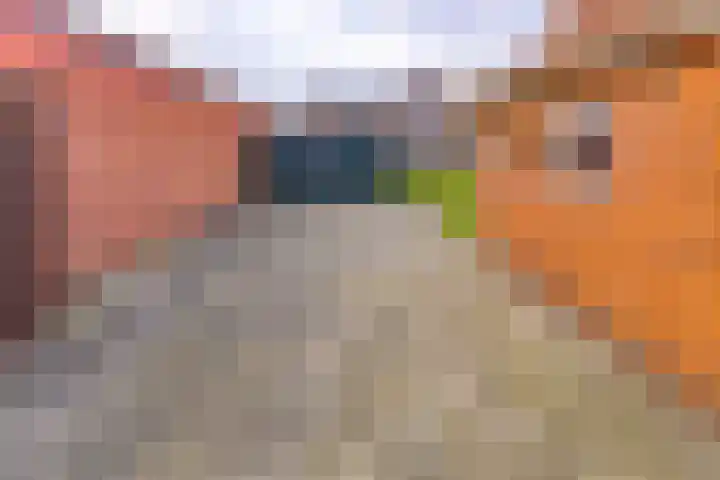Rozenstraat 11 Musselkanaal thumbnail 32