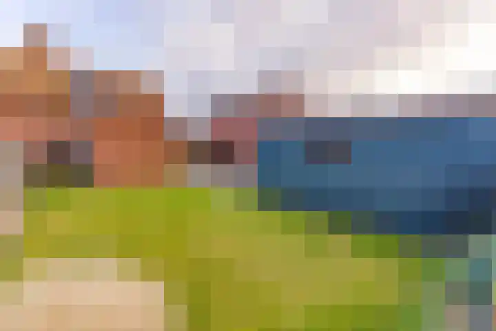 Rozenstraat 11 Musselkanaal thumbnail 33