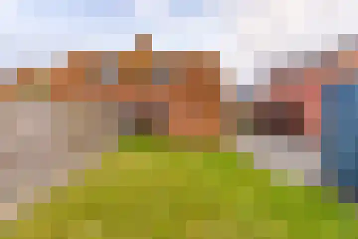 Rozenstraat 11 Musselkanaal thumbnail 34
