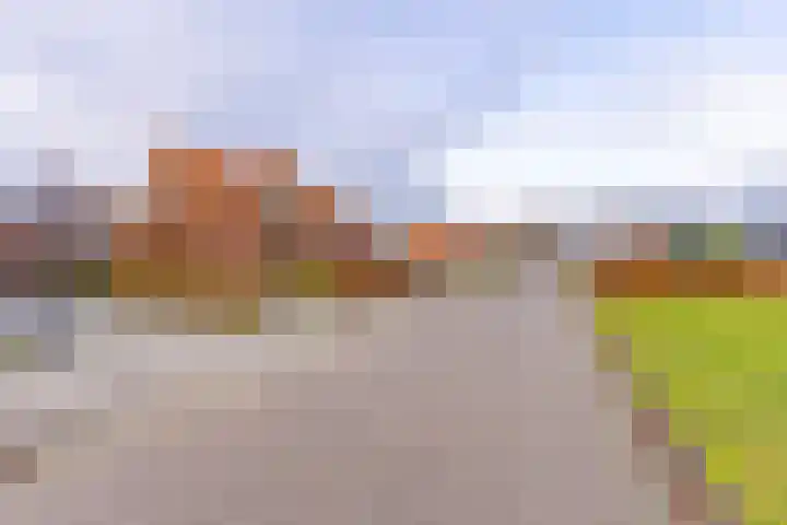 Rozenstraat 11 Musselkanaal thumbnail 5