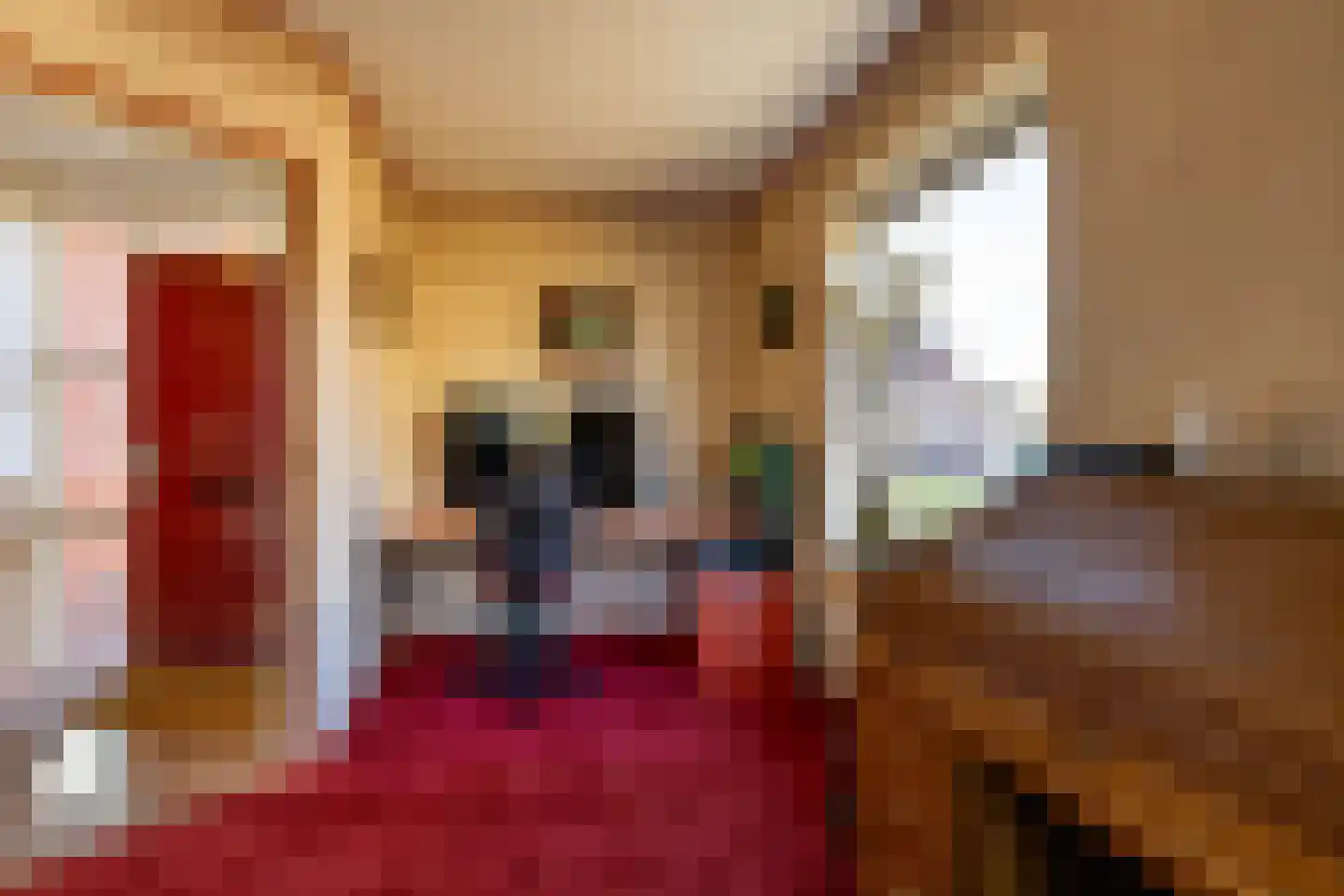 Rozenstraat 11 Tynaarlo thumbnail 20
