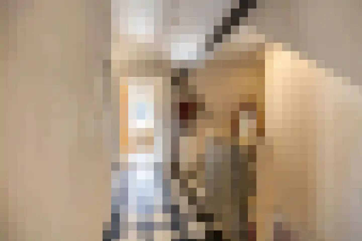 Rozenstraat 11 Tynaarlo thumbnail 27