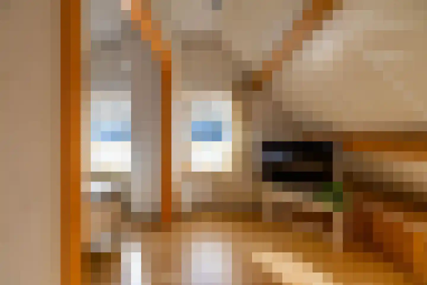 Rozenstraat 11 Tynaarlo thumbnail 30