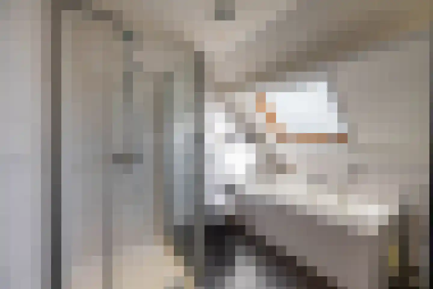 Rozenstraat 11 Tynaarlo thumbnail 33