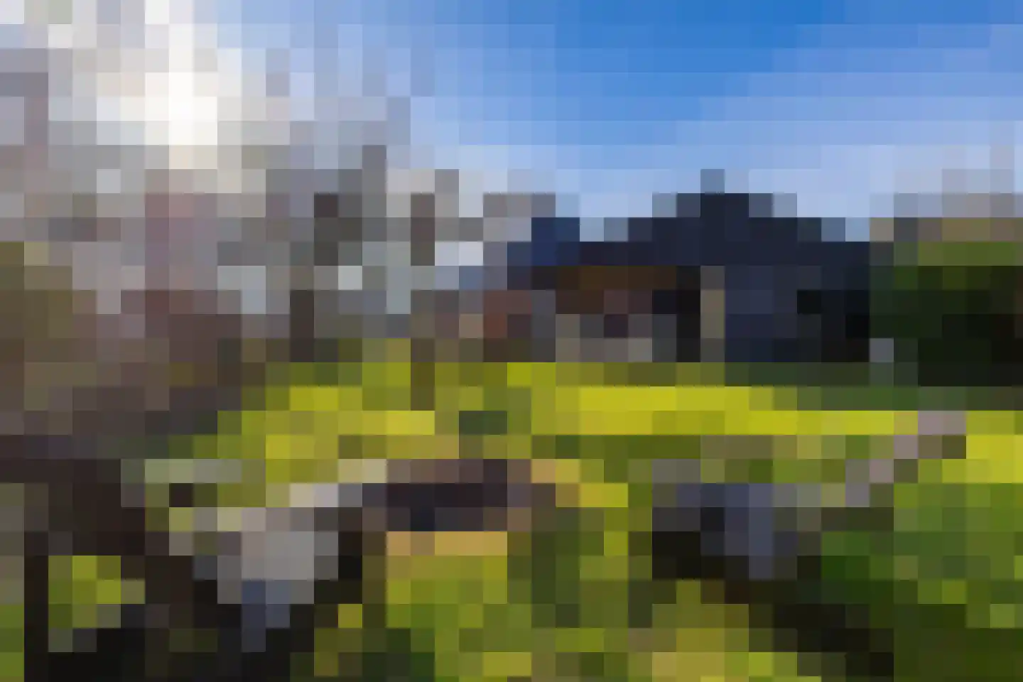 Rozenstraat 11 Tynaarlo thumbnail 50