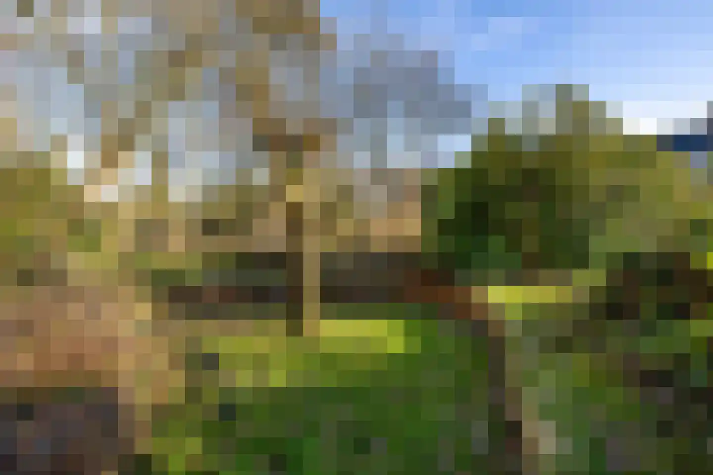 Rozenstraat 11 Tynaarlo thumbnail 51