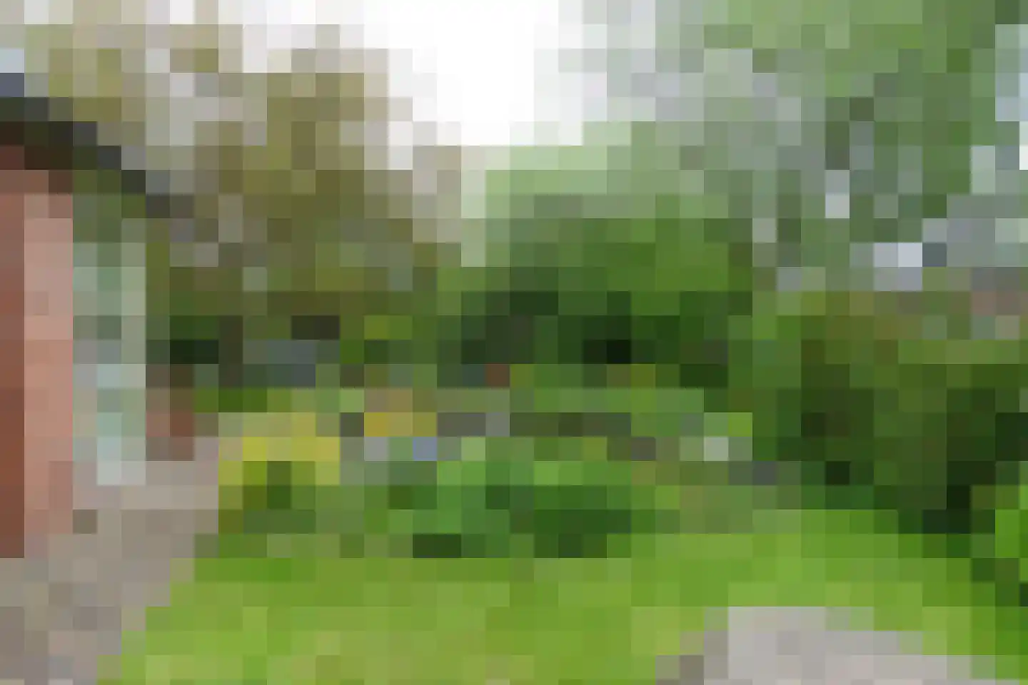Rozenstraat 11 Tynaarlo thumbnail 57