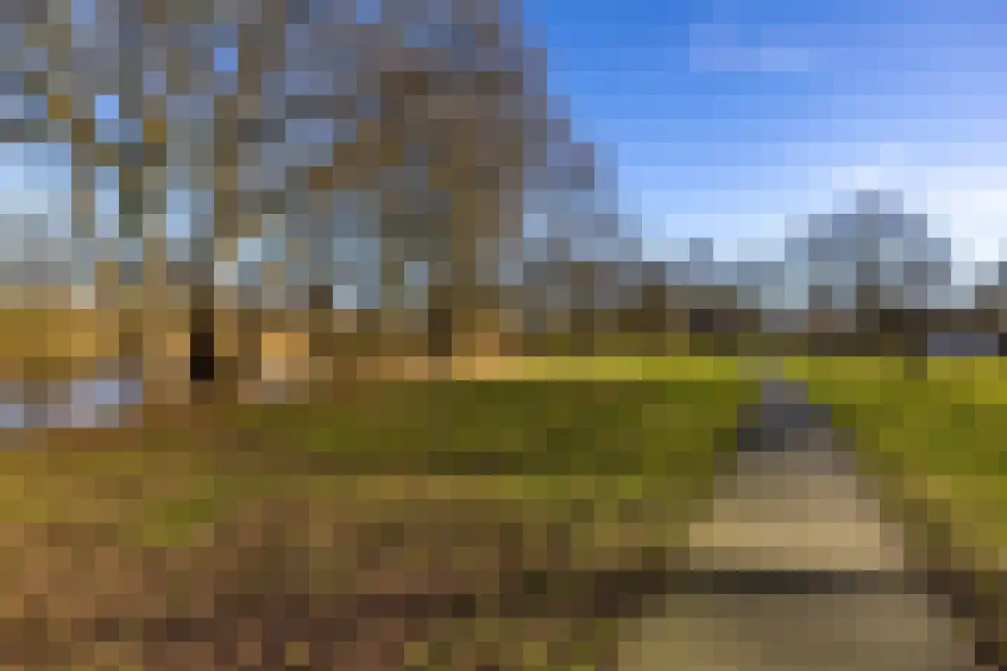 Rozenstraat 11 Tynaarlo thumbnail 64