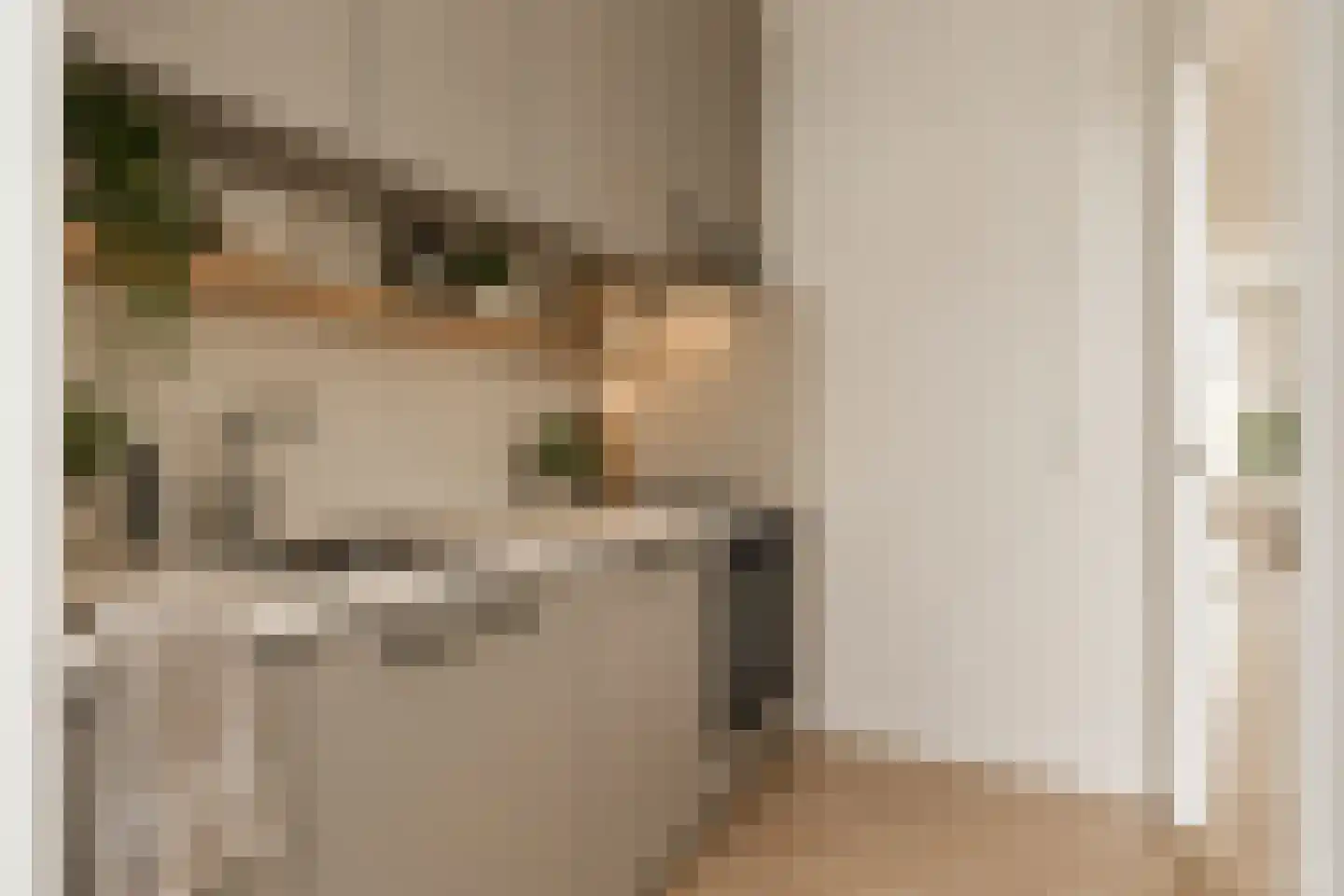 Rozenstraat 111 2 Amsterdam thumbnail 15