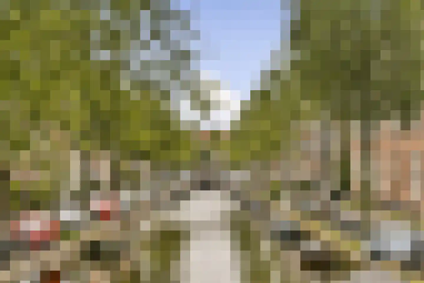 Rozenstraat 111 2 Amsterdam thumbnail 17