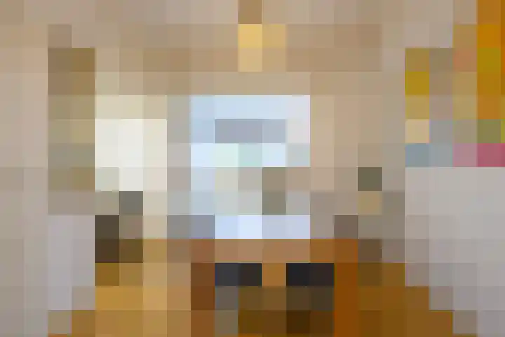 Rozenstraat 113 Hilversum thumbnail 11
