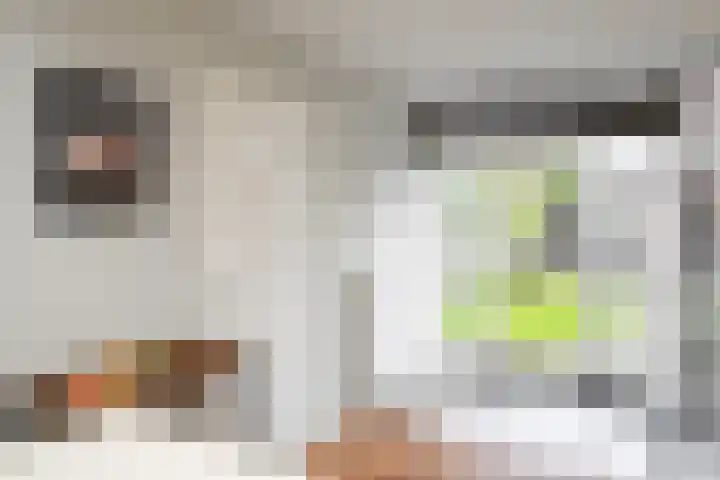 Rozenstraat 113 Hilversum thumbnail 18