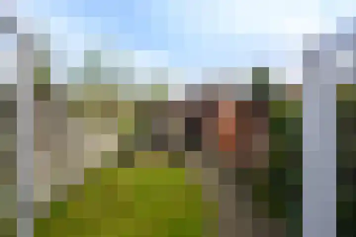 Rozenstraat 113 Hilversum thumbnail 19