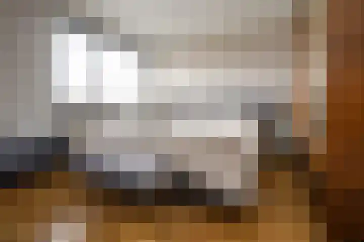 Rozenstraat 113 Hilversum thumbnail 22