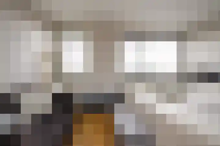 Rozenstraat 113 Hilversum thumbnail 23