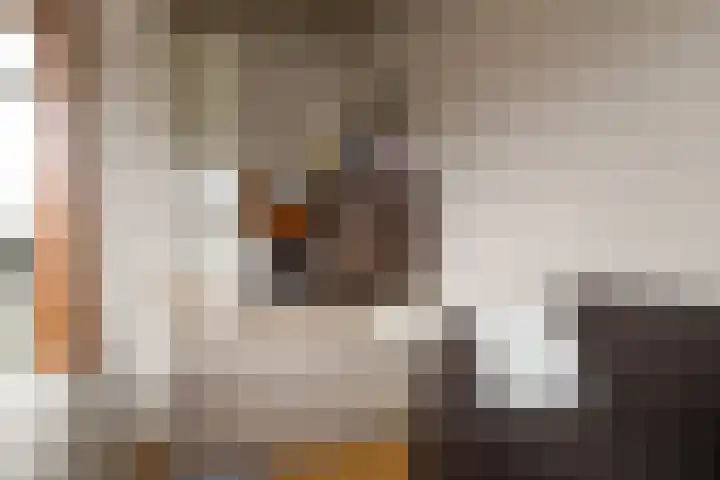 Rozenstraat 113 Hilversum thumbnail 25