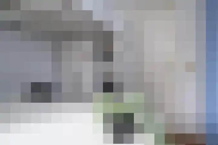 Rozenstraat 113 Hilversum thumbnail 31