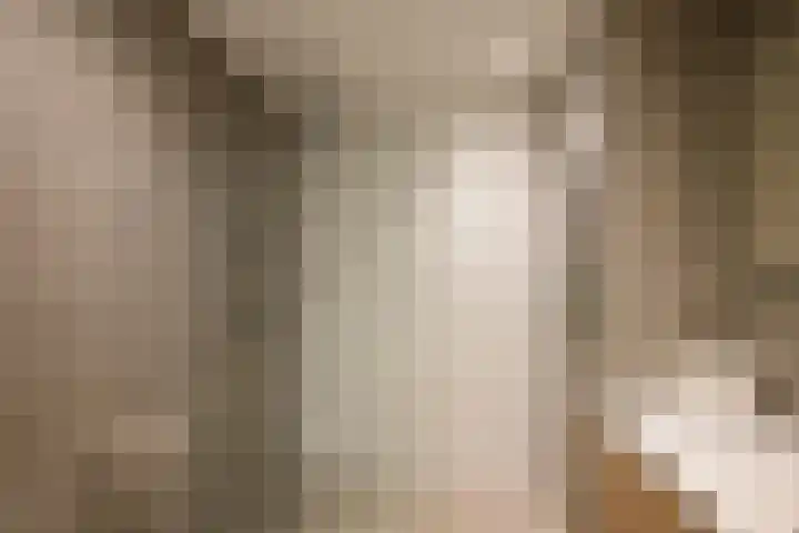 Rozenstraat 113 Hilversum thumbnail 33