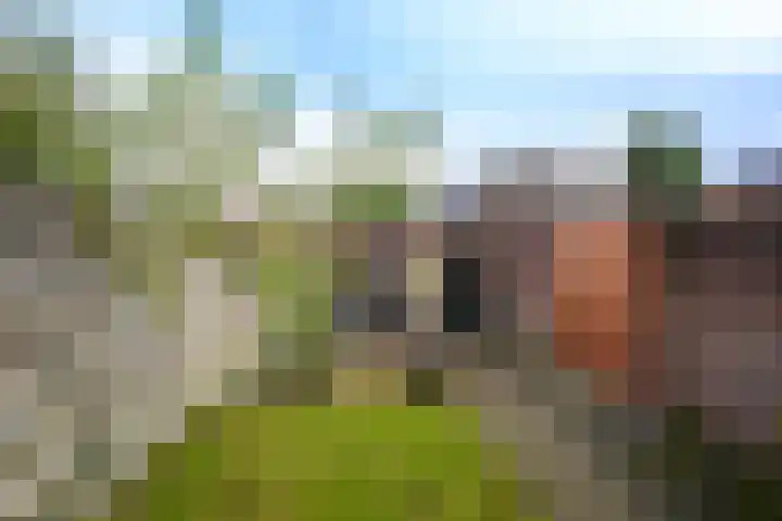 Rozenstraat 113 Hilversum thumbnail 35